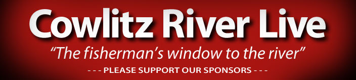 Cowlitz River Live
